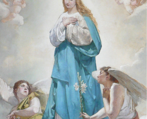 Immacolata concezione