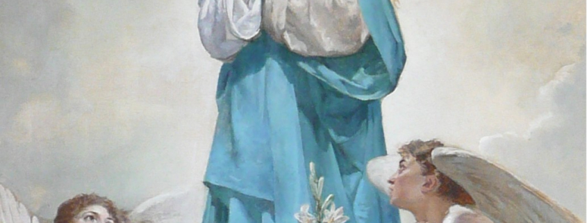 Immacolata concezione